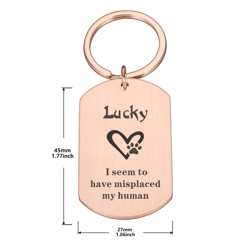 Besplatne ugravirane ID oznake za kućne ljubimce Personalizirana mačka PuppyTag Ogrlica za kućne ljubimce Dodaci Prilagodljivi mačji privjesak protiv izgubljenih oznaka s imenom