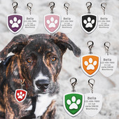 Accesorii personalizate pentru guler pentru etichetă de identificare pentru câine, pisică de companie personalizată, colier gravat personalizat, articole de farmec pentru etichete pentru câine, produse cu nume