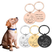 Etichetă personalizată pentru guler pentru câini Colier personalizat pentru pisici Etichete de identificare Plăcuță cu nume de adresă anti-pierdere pentru câini de companie Accesorii pentru cățeluși