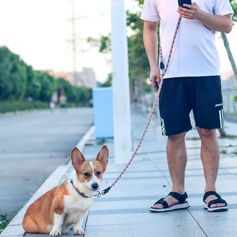 Lesă pentru câini, dublu capete, două lese pentru câini, reflectorizant, lung, scurt, pentru animale de companie, plimbări, dresaj, plumb, multifuncțional, 6 moduri, frânghie pentru câini legați