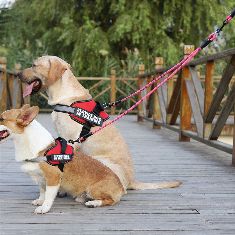 Plimbați 2 doi câini o lesă Nailon Fără încurcătură Lesă pentru animale de companie pentru câine și pisică Alergare pentru câini mici, mijlocii mari, pitbull, buldog, pugi