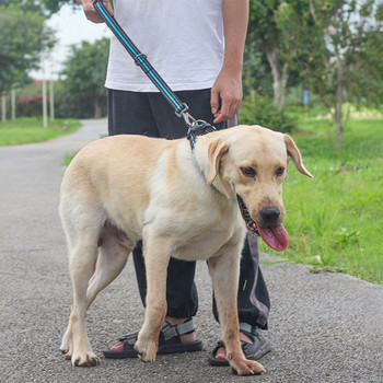 Κοντό λουρί σκύλου με διχτυωτή λαβή κοντό λουρί για σκύλο Ανακλαστικό βήμα έλξης μεγάλου σκύλου λουριά κοντό μόλυβδο για μεγάλο σκύλο κοντό σχοινί