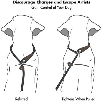 CAWAYI KENNEL Издръжлива каишка за хлъзгащо въже за кучета Регулируема яка с примка Удобна каишка поддържа най-силното дърпане на големи средни кучета