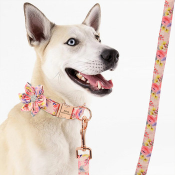 3 Χρώματα Nylon Dog Leash Printed Pet Petpy Walking Leash Lead Geded Running Training Leashes Σχοινί για μικρούς μεσαίους μεγάλους σκύλους