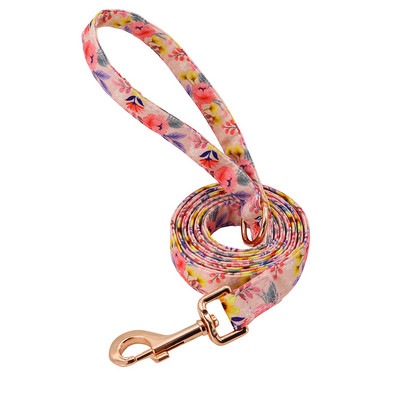 3 värvi nailonist koerarihm trükitud lemmiklooma kutsika jalutusrihm Pliipolsterdatud jooksutreeningrihmad väikestele keskmistele suurtele koertele