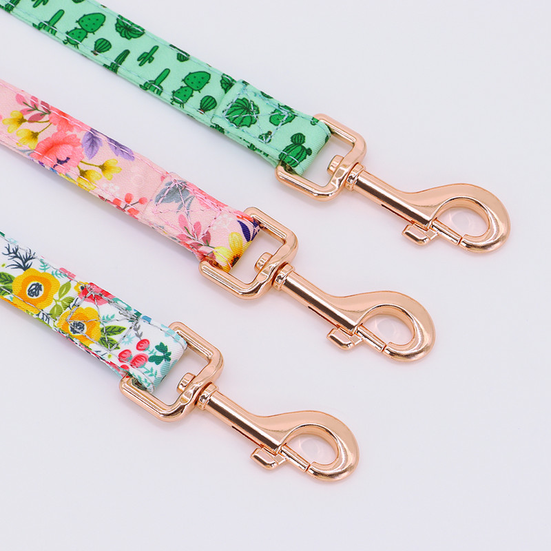 3 värvi nailonist koerarihm trükitud lemmiklooma kutsika jalutusrihm Pliipolsterdatud jooksutreeningrihmad väikestele keskmistele suurtele koertele