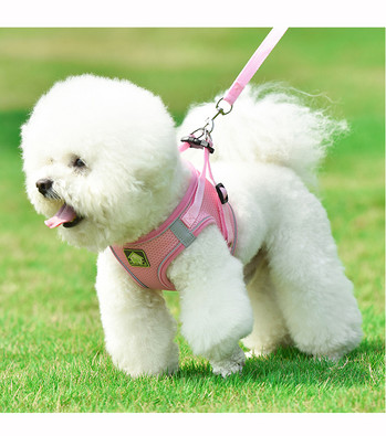 Nylon Mesh Puppy Dog Harnesses Γιλέκο αντανακλαστικό σετ λουριών και λουριών για σκύλους γάτας Μικρό μεσαίο λουρί για περπάτημα