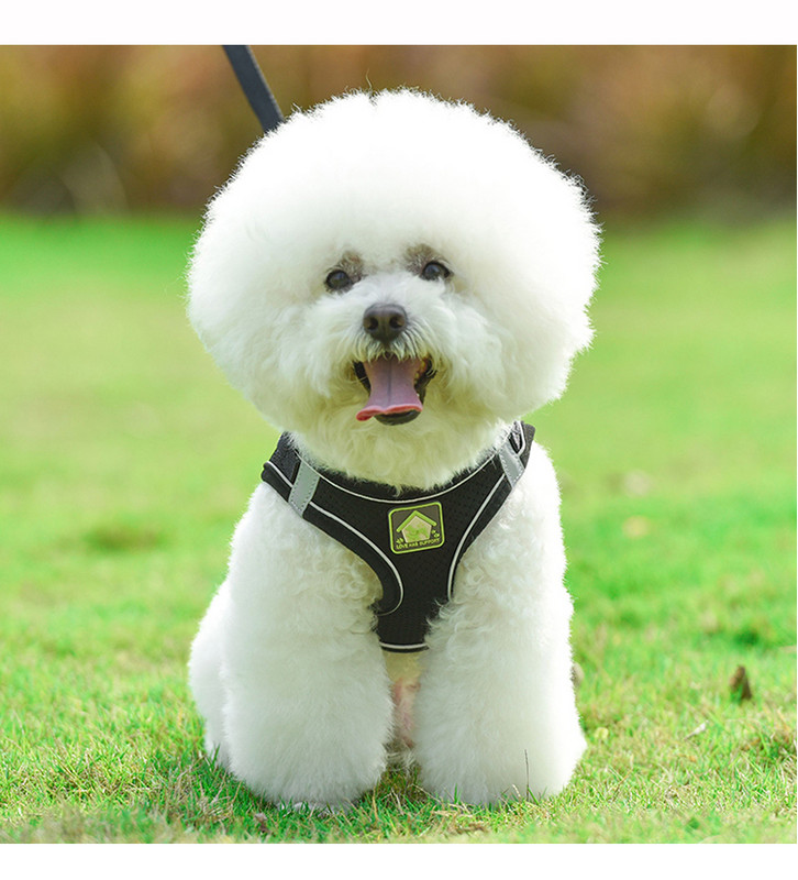 Найлонова мрежа Puppy Dog Harnesss Vest Светлоотразителен кучешки колан и комплект каишка за котка куче мопс малък среден ходене повод каишка