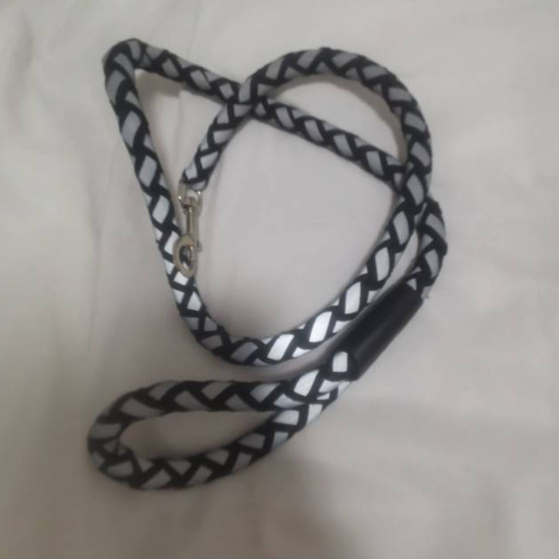 Luminozitate Strong Wave Lesă pentru câini Mâini libere Lesă reflectorizante pentru animale de companie pentru câini de talie mică Mersul pe jos Siguranță în întuneric Accesoriu pentru câini