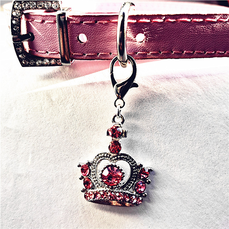 Cute Princess Dog Birkas Kaķu kucēns Mājdzīvnieku sakausējums Rhinestone Crown Apkakle Kulons Suņu Aksesuāri Crown Pet Rotaslietas Dropshipping