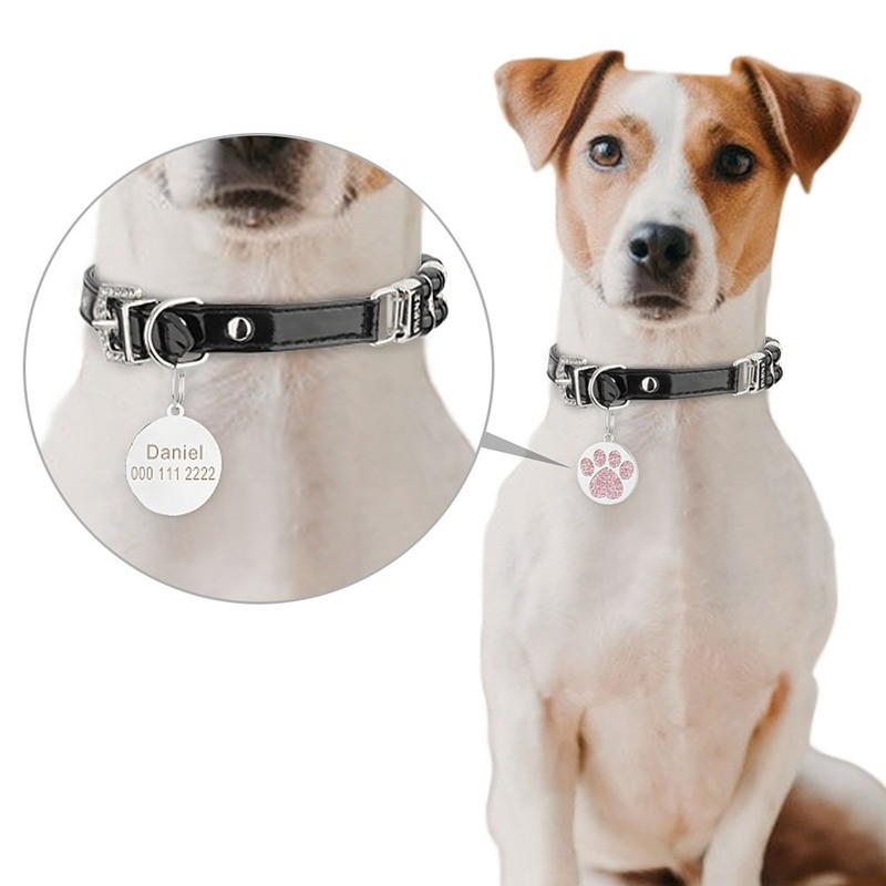 Lemmiklooma ID-sildid Kassikoer Kohandatud Isikupärastatud Tasuta graveeritud kassikutsika nimesilt Kaelarihma tarvikud Kadumisevastane ripats metallist võtmehoidja