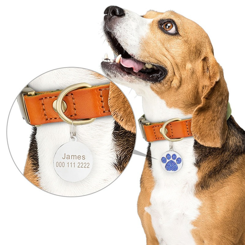 Lemmiklooma ID-sildid Kassikoer Kohandatud Isikupärastatud Tasuta graveeritud kassikutsika nimesilt Kaelarihma tarvikud Kadumisevastane ripats metallist võtmehoidja
