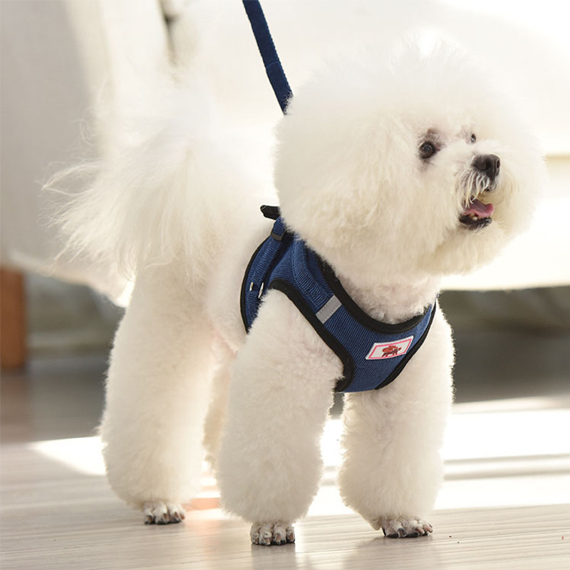 Ham pentru câini, fără tragere, guler ajustabil pentru cățeluș, pisică, accesorii personalizate pentru câini, vestă, hamuri, chihuahua, beagle, pentru câini de talie mică