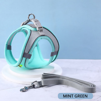 Peegeldavad koerarakmed ja jalutusrihma komplekt, pehme võrguga põgenemiskindel vesti rakmed kassikutsikatele väikestele lemmikloomadele koos lihtsa juhitava käepidemega