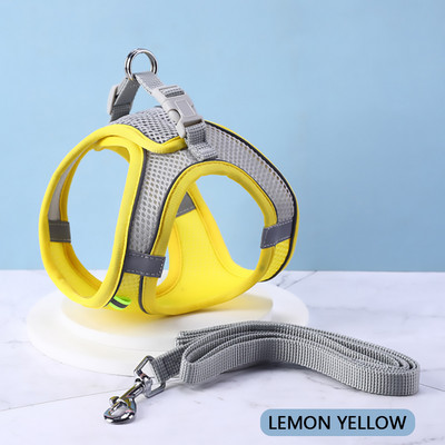 Peegeldavad koerarakmed ja jalutusrihma komplekt, pehme võrguga põgenemiskindel vesti rakmed kassikutsikatele väikestele lemmikloomadele koos lihtsa juhitava käepidemega