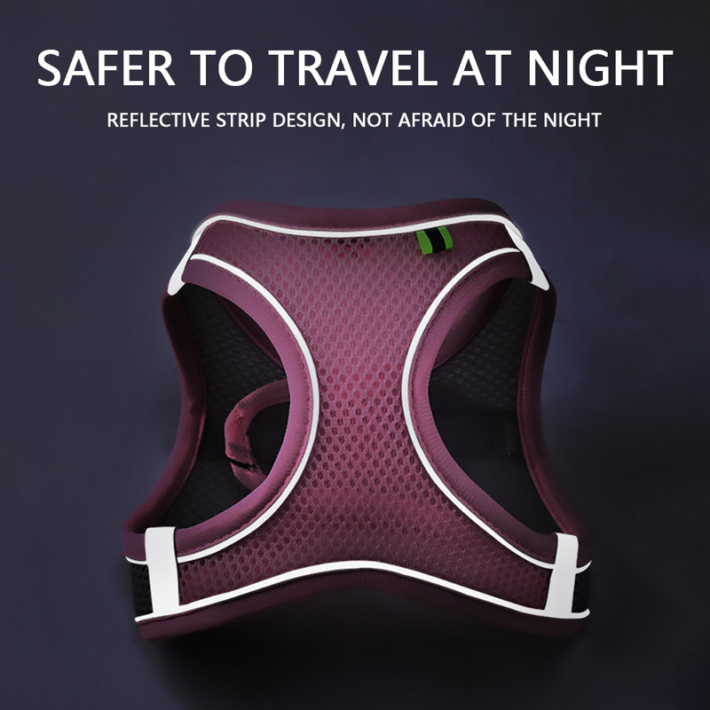 Peegeldavad koerarakmed ja jalutusrihma komplekt, pehme võrguga põgenemiskindel vesti rakmed kassikutsikatele väikestele lemmikloomadele koos lihtsa juhitava käepidemega