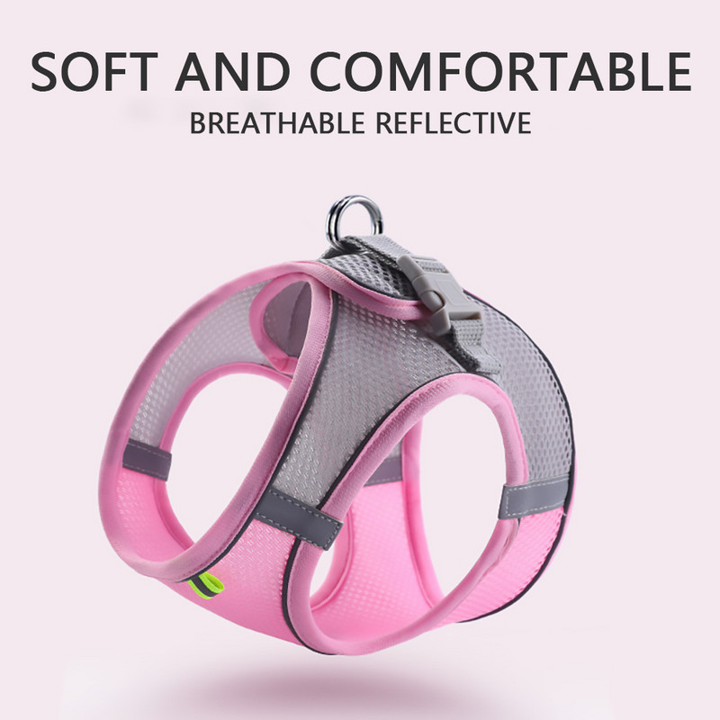 Peegeldavad koerarakmed ja jalutusrihma komplekt, pehme võrguga põgenemiskindel vesti rakmed kassikutsikatele väikestele lemmikloomadele koos lihtsa juhitava käepidemega