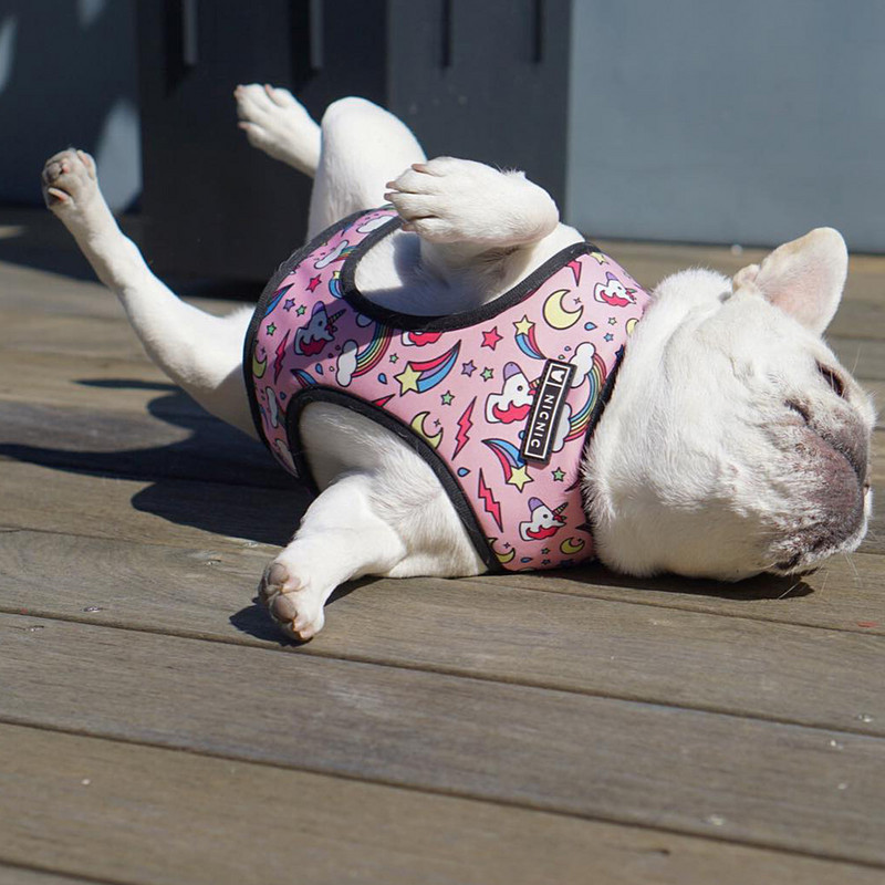 Mopsi väikese koera rakmed No Pull Dog Vesti rakmed väikestele keskmistele koertele Hingavad lemmikloomad Kutsika Prantsuse buldogi koera rakmed jalutusrihma komplekt