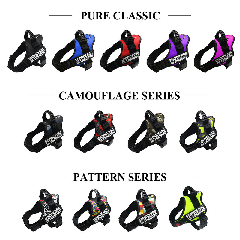 Koera rakmed Kõrge kvaliteediga nailon Reguleeritav kohandada ID koera nimi Väikestele suurtele koertele vestid rakmed koeratarvikud Dropshipping