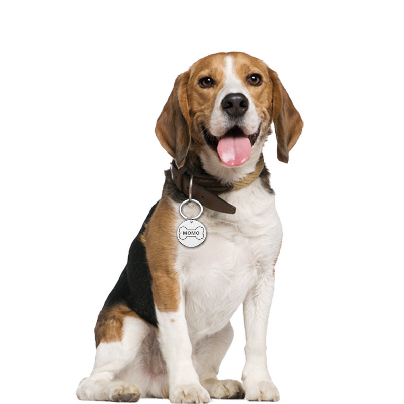 Personalizēta nerūsējošā tērauda gravēšana Mājas suņa identifikācijas zīme Pielāgots numurs Nosaukums Kaķa zīme Apkakles Kauls Nosaukuma plāksnīte Pretnozaudēšanas piekariņi