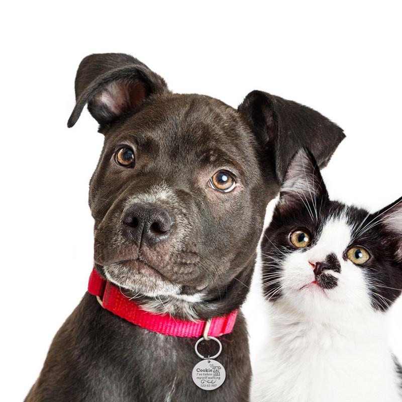 Personalizēta kaķa suņa identifikācijas birkas gravēšana suns kakla siksna mājdzīvnieku piekariņš vārda ID atzīmes kulonu kaklarota kucēnam nerūsējošā tērauda aksesuāri