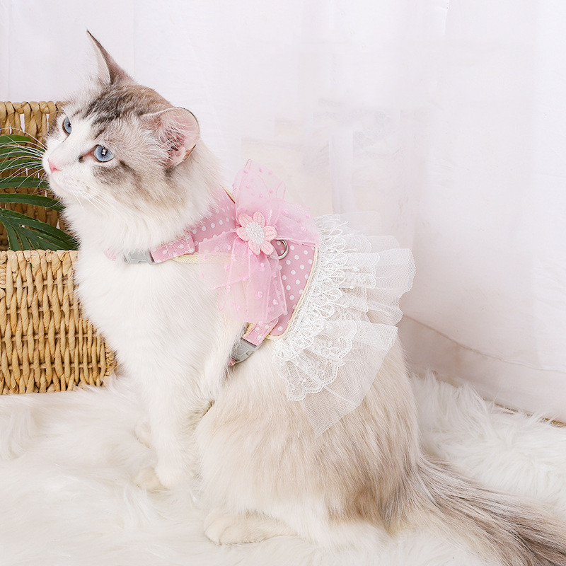 Čipkasti pojas za pse Dot Odjeća za kućne ljubimce Povodac Povodac za mačku Oprsnica za kućne ljubimce Haljina za male pse i mačke Kunići Štene Bowknot Mačja ogrlica
