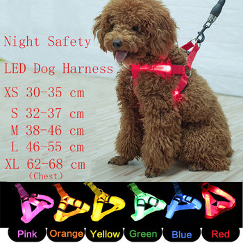 Ρυθμιζόμενο λουρί LED για σκύλους χωρίς τράβηγμα Μικρό, μεσαίο λαμπερό νάιλον στήθος νυχτερινή ασφάλεια Αξεσουάρ σκύλου για κατοικίδια ζώα Arnes Perro