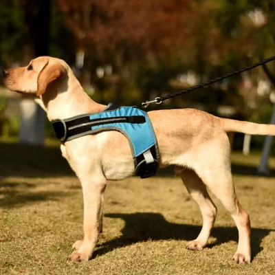 LED helendavad koerarakmed Valgustavad koera rinnarihma vest Lemmiklooma turvalisuse helkurid kaelarihm lemmikloomavest Husky lambakoera labradori jaoks