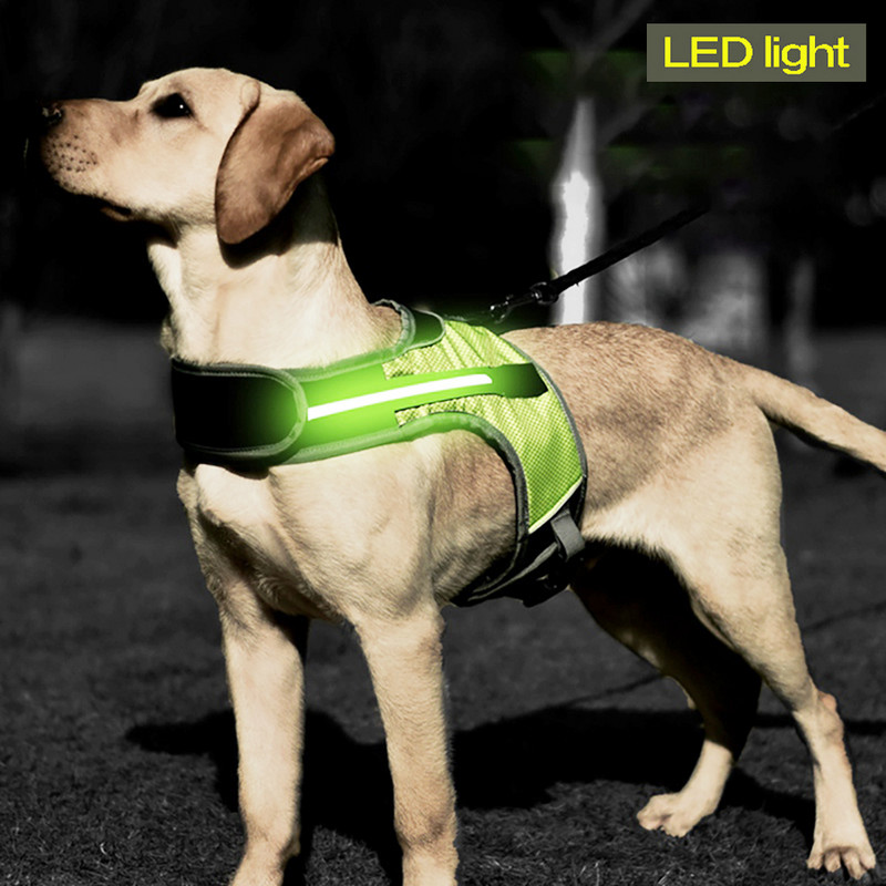 LED helendavad koerarakmed Valgustavad koera rinnarihma vest Lemmiklooma turvalisuse helkurid kaelarihm lemmikloomavest Husky lambakoera labradori jaoks