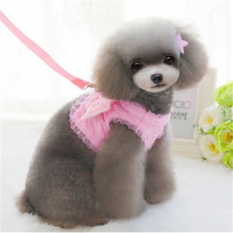 Väike koera rakmed ja jalutusrihma komplekt Lemmiklooma kassi vesti rakmed Pearl Cute Angel Wing Printsess Lemmikkoera rakmed jalutusrihmad Reguleeritavad jalutusrihmad