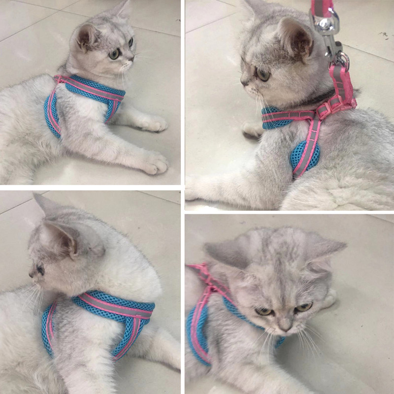 Pas, mačka, pojas, prsluk, reflektirajuća prozračna mreža, proizvodi za kućne ljubimce, pseći povodac, pojas, podesiva ogrlica, štene, mali pas, noćna šetnja