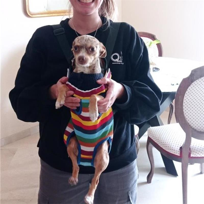 Rucsac de transport pentru câini curcubeu, plasă de camuflaj, produse de călătorie în aer liber, genți respirabile cu mâner de umăr pentru câini mici, pisici