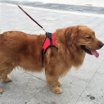 Μεγάλο μαλακό ρυθμιζόμενο λουρί σκύλου Pet Walk Out Χέρι λουρί σώματος στήθους για κολάρο γιλέκου σκύλου Μεγάλη ζώνη για μικρό μεσαίο μεγάλο σκύλο