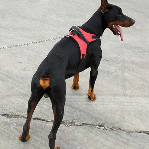 Голям мек регулируем колан за кучета Pet Walk Out Ръчен гърди Каишка за тяло за куче Жилетка Яка Голям колан за малко средно голямо куче