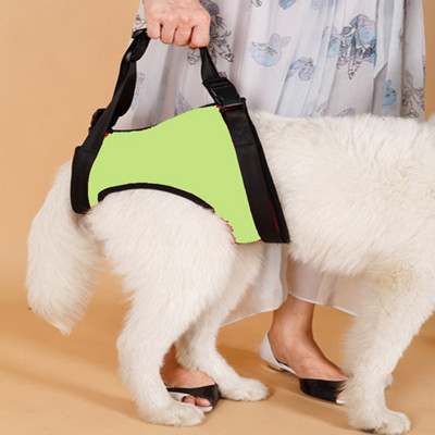 Naminių gyvūnėlių pakėlimo diržai Seno šuns naudingi pagalbiniai dirželiai su rankena sužalotiems naminiams šunims Šunų pagalbiniai diržo priedai