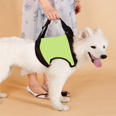 Naminių gyvūnėlių pakėlimo diržai Seno šuns naudingi pagalbiniai dirželiai su rankena sužalotiems naminiams šunims Šunų pagalbiniai diržo priedai
