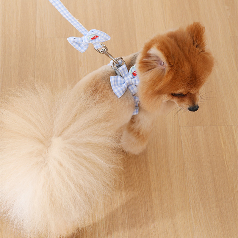 Koerarakmed väikestele koertele kassidele Reguleeritav kassipoegade kaelarihm Lemmikloomade rakmed koos jalutusrihma komplektiga ruuduline rinnavest jalutusrihm koera juhtmete tarvikud