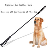 Prantsuse buldogi treenimiskoera piits Lemmiklooma koolitustarvikud Koera peksmiskepi treenimine koera piits hammustada keppi koera koolitusseade