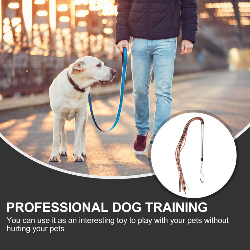 Suņu pātagas apmācības pātagas mājdzīvnieku zirgu kultūru ķircinātājs Jāšanas nūja jāšana ar ādas zizli, kultūras piederumiinteraktīva aģitācijas nūja