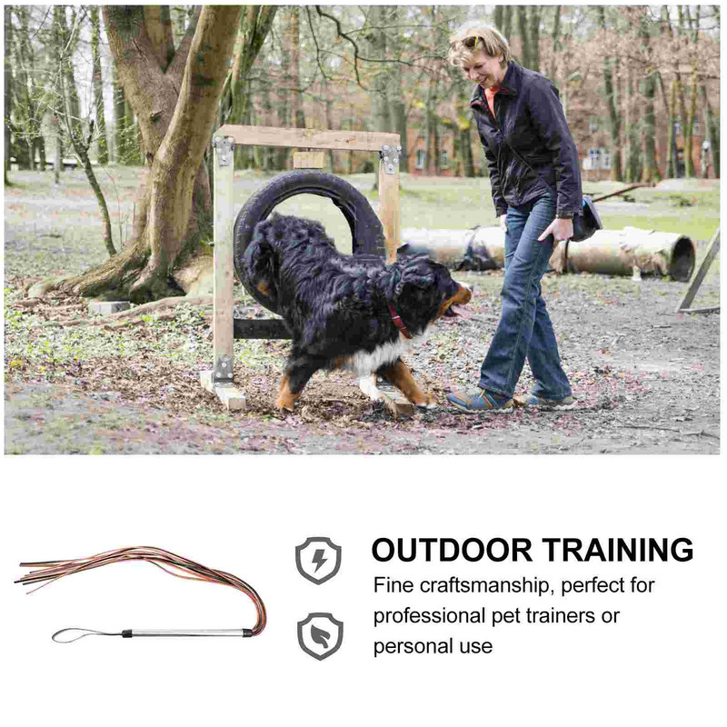 Suņu pātagas apmācības pātagas mājdzīvnieku zirgu kultūru ķircinātājs Jāšanas nūja jāšana ar ādas zizli, kultūras piederumiinteraktīva aģitācijas nūja