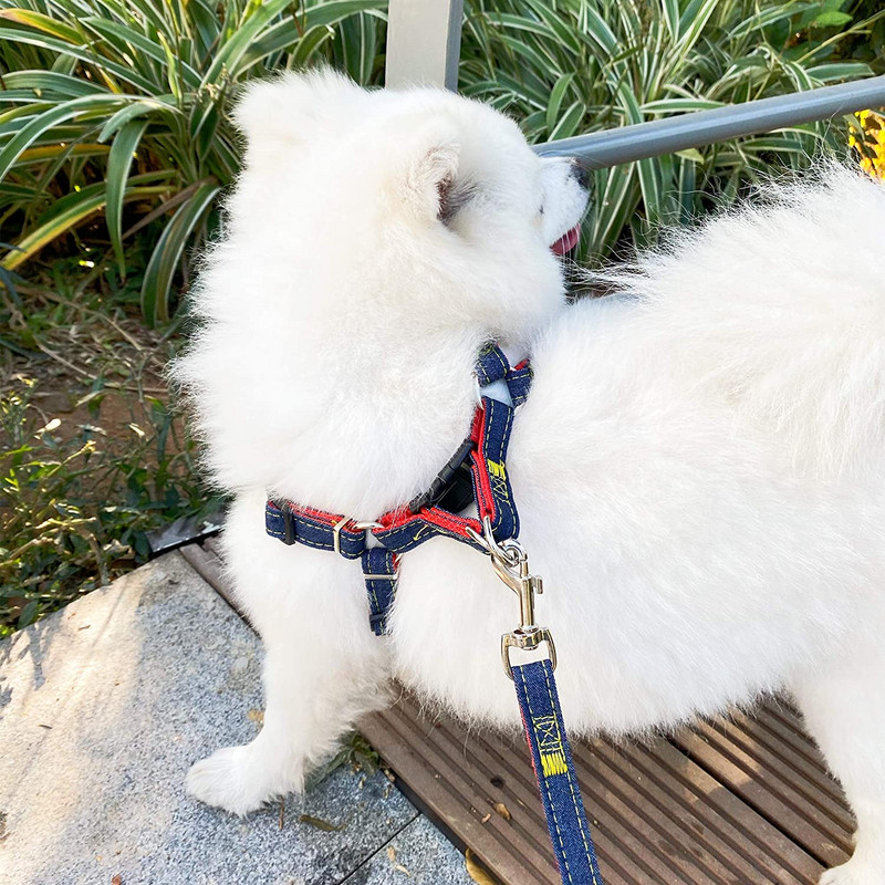 Lemmiklooma rihma ja rakmete komplekt koerale reguleeritav kaelarihma komplekt Lemmiklooma plii vest Väike, keskmine suur, treenimiseks mõeldud koeratarvikud