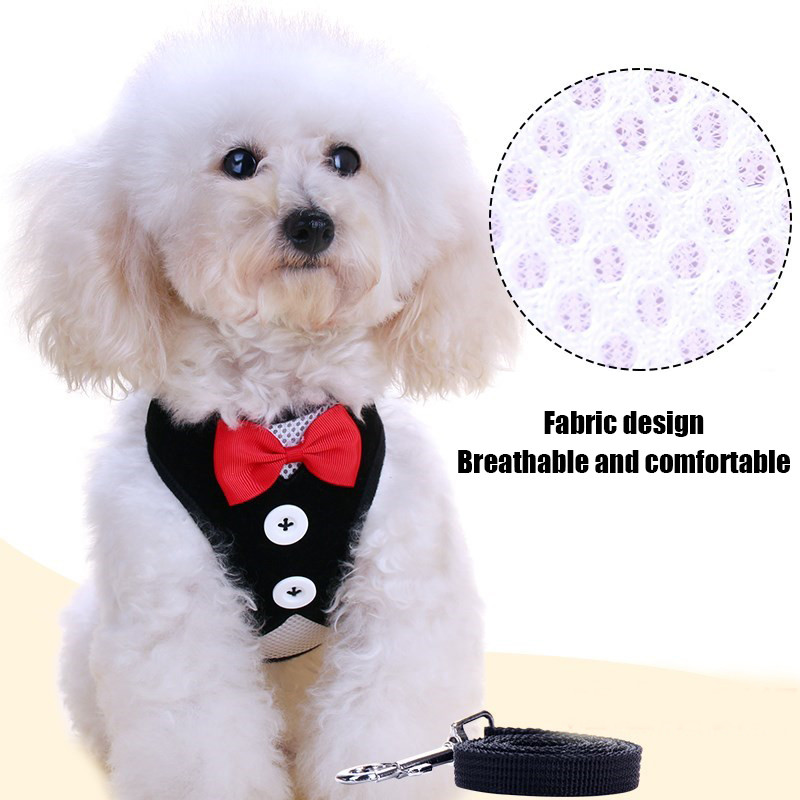 Elegantni prsluk s vezicom za pse s leptir mašnom i povodcem za male pse Prsni pojas Ovratnik Uže za vuču Podesivi prsluk s mašnom i čvorom Odjeća za kućne ljubimce