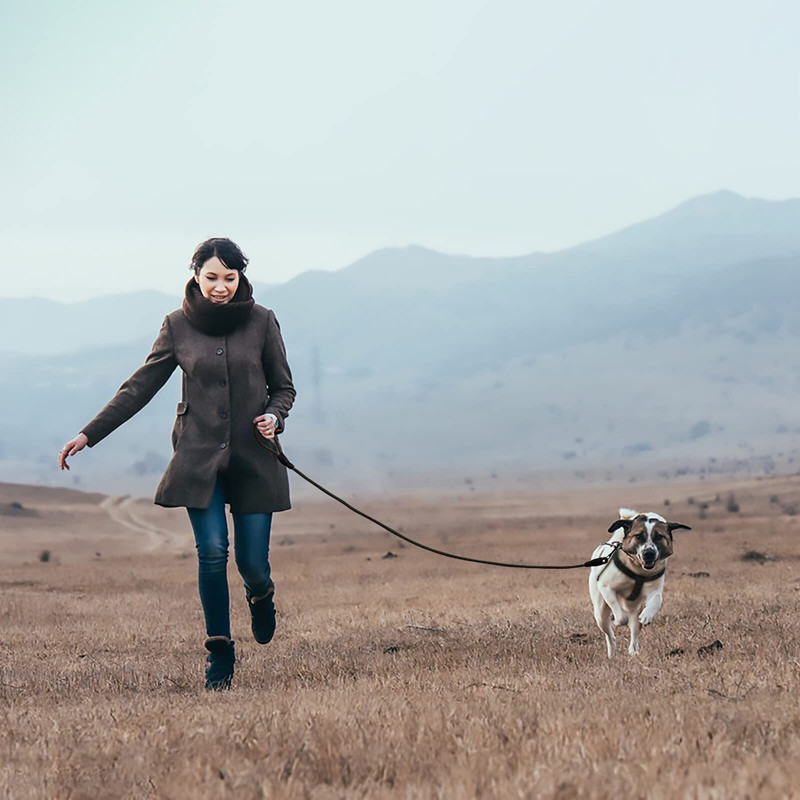 Benepaw No Pull Oprsnice za pse Povodac Set Podesiva udobna ravnoteža na vratu Oprsnice za kućne ljubimce za male srednje velike pse