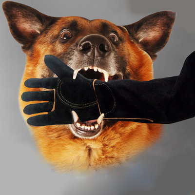 Ръкавици против ухапване за обучение на кучета Удебелена котка Специални за обучение на Shiba Retriever Телешка кожа Водоустойчиви 60 см Защитни ръкавици