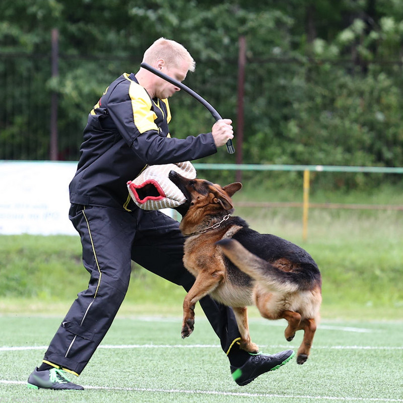 Baston de dresaj durabil pentru dresaj de câini Baston de dresaj pentru animale de companie îndoit Baston de dresaj profesional pentru câini din piele moale PU