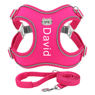 Εξατομικευμένο σετ λουριών με λουρί σκύλου Ανακλαστικό λουρί για σκύλους Ζώδιο για κατοικίδιο ζώο περπατώντας Μολύβδινο σχοινί Δωρεάν εκτύπωση Όνομα κατοικίδιων ζώων Dog Cat Pattern 2XS-L