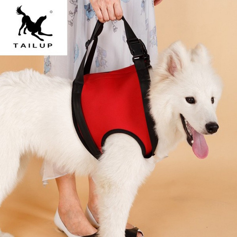 Naminio šuns petnešos vaikščiojimo atrama susižalojus Šuo Pagyvenęs šuo Neįgalus naminių gyvūnėlių kėlimo diržas Didelio šuns reabilitacijos pagalbinis diržas