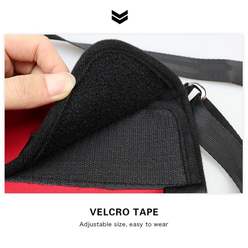 Naminio šuns petnešos vaikščiojimo atrama susižalojus Šuo Pagyvenęs šuo Neįgalus naminių gyvūnėlių kėlimo diržas Didelio šuns reabilitacijos pagalbinis diržas