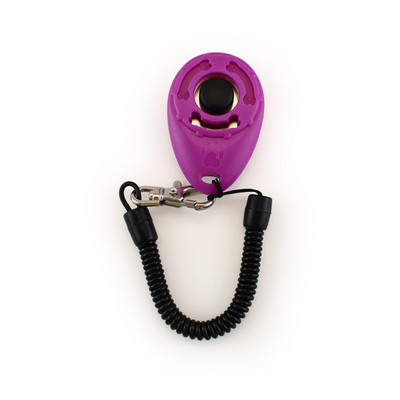 Εκπαίδευση σκύλων κατοικίδιων γατών Clicker Plastic Dogs Click Trainer Aid Too Ρυθμιζόμενο ιμάντα καρπού Ήχος κλειδί αλυσίδας κλειδιού Dog Whistle Dog Trainer