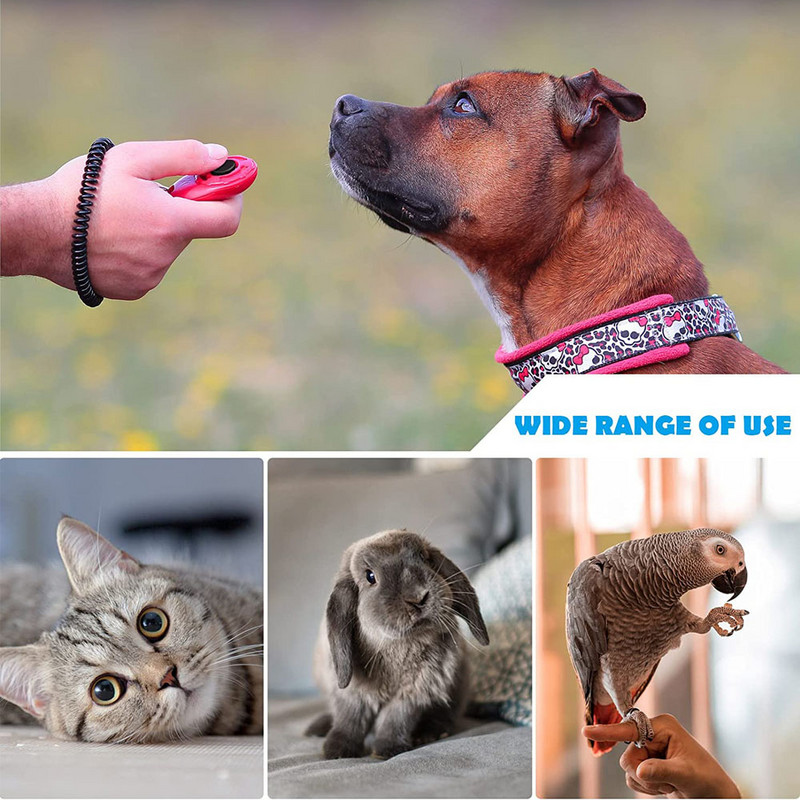 Reguleeritava randmepaelaga 2-pakiline koerte treenimiskliker, vastupidav ja kerge, lihtne kasutada kassidele, kutsikatele ja hobustele